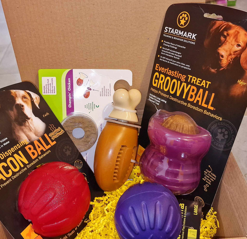 Miniature : MON OSBOX DOG XXL