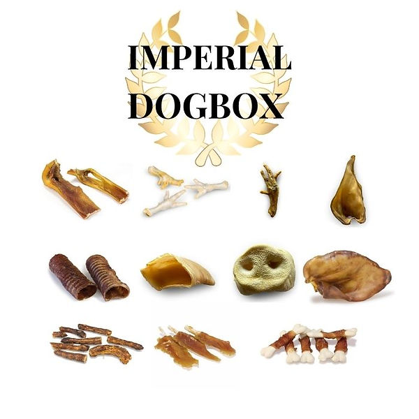 IMPERIAL DOG dogbox