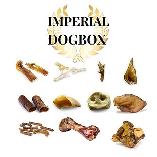 friandise pour chien box impérial dog