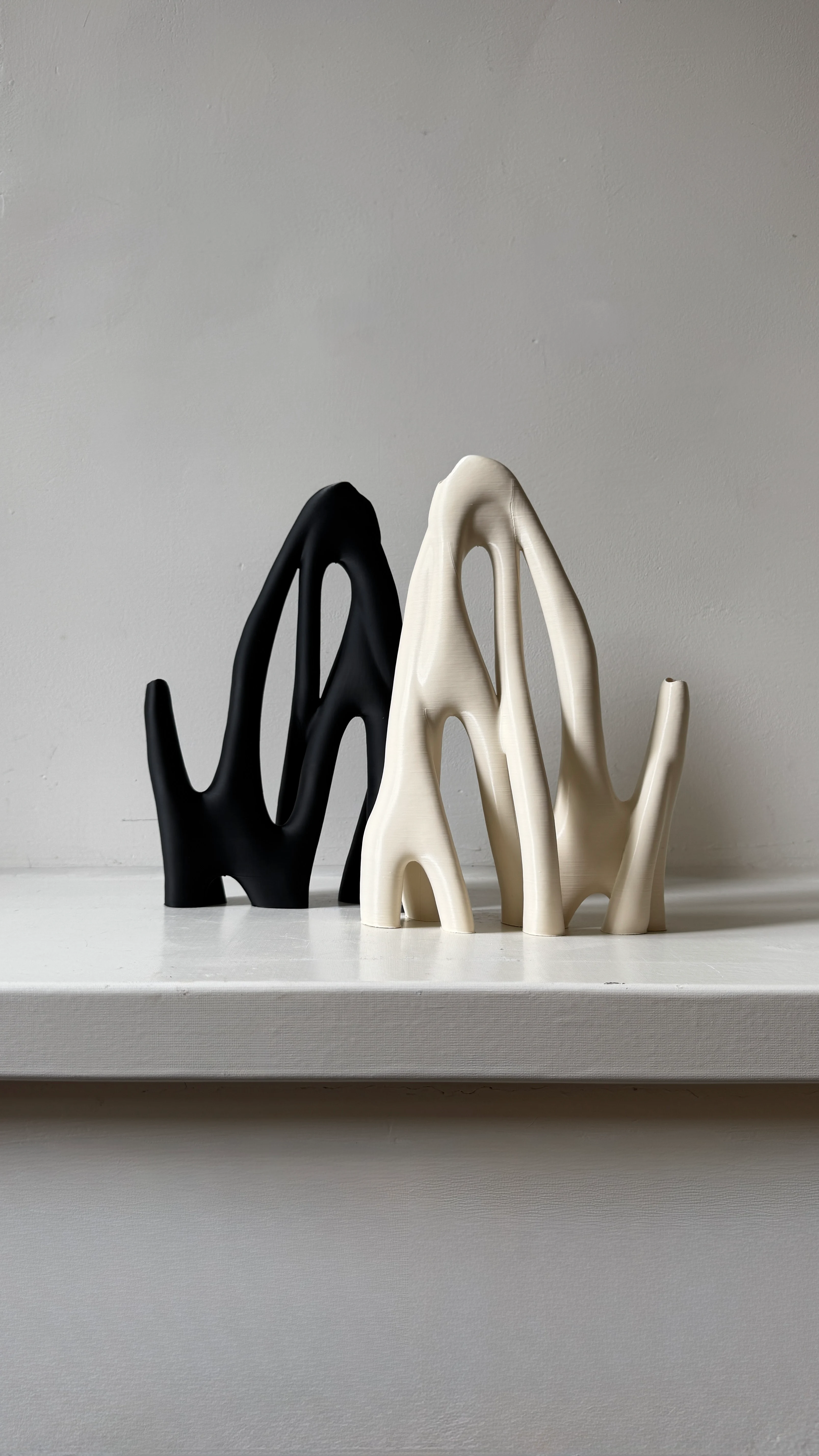 THE ORGANIC ILLUSIONS VASE