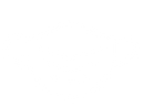 adobe-spark-post%20(3)_edited.png