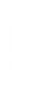 adobe-spark-post%20(2)_edited.png