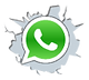 whatsapp_PNG23---copia.png
