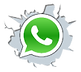 whatsapp_PNG23---copia.png