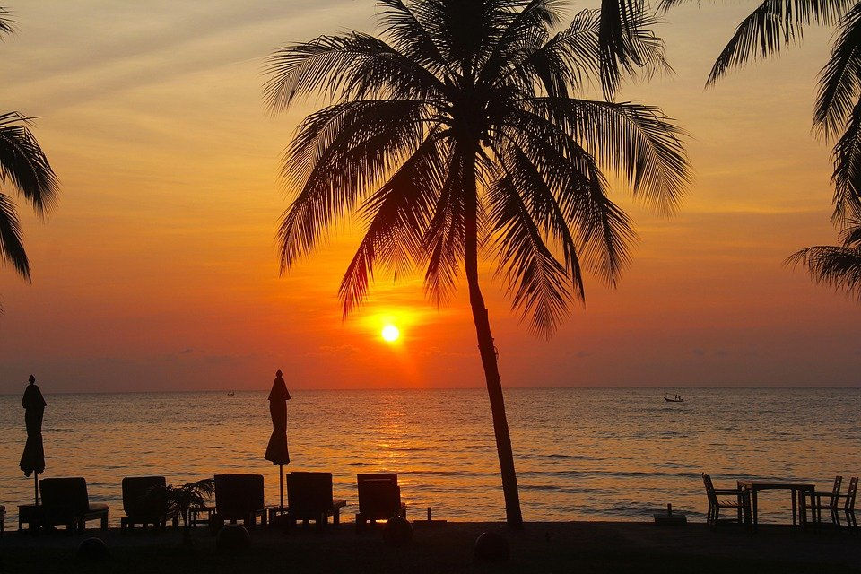 Phương Sách, Khách Sạn, Bờ Biển, Cây, Khách Du Lịch