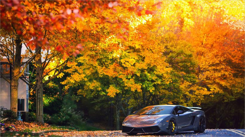 hình nền siêu xe Lamborghini Gallardo cực đẹp