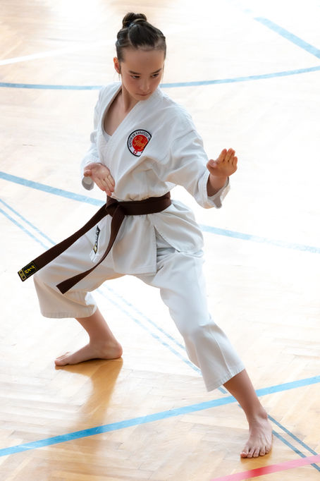 Internationales Kyu-Tournament in Strasswalchen, Österreich
