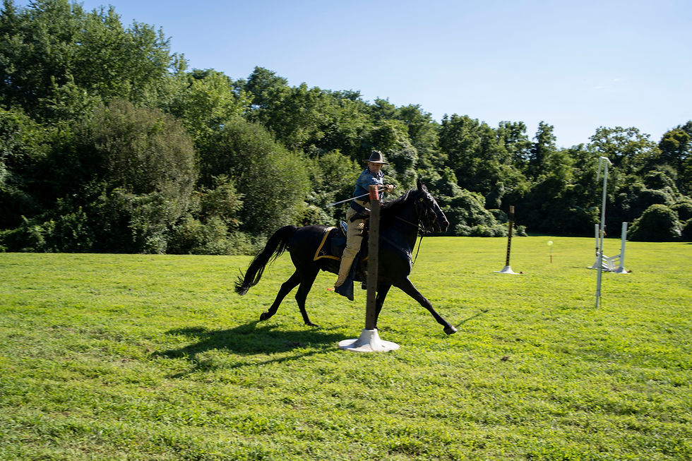 Long Island Fair County Agricultural Fair Old Bethpage Village