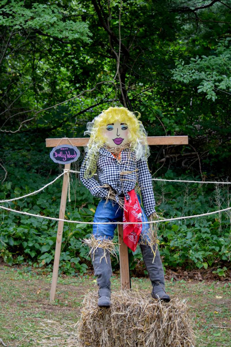 Long Island Fair County Agricultural Fair Old Bethpage Village