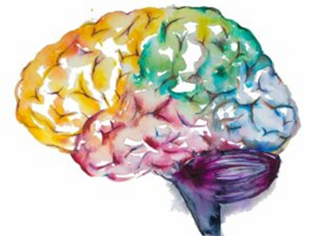 How art affects brain-I
