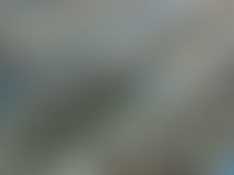 Invoering van Elektronische Emplacementsbeveiliging en Computer Based Beveiliging