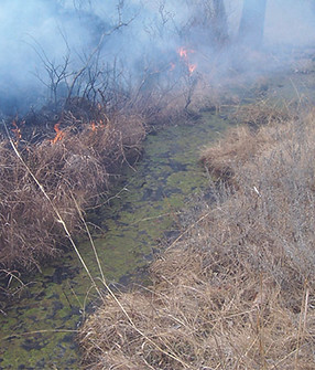 fire break.jpeg