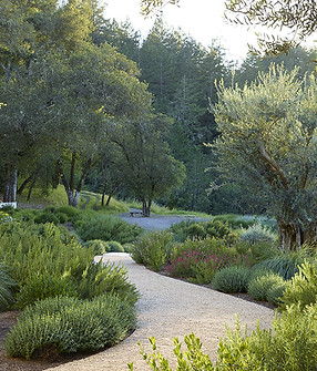 garden design.jpeg