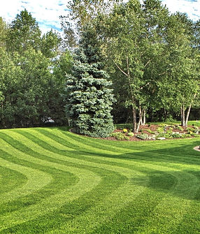 lawn care.jpeg
