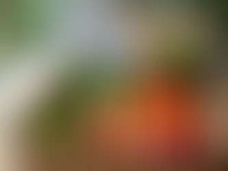 Understanding How Meal Delivery Services Work