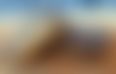 Restaurant Review: Phil's Fudge Factory