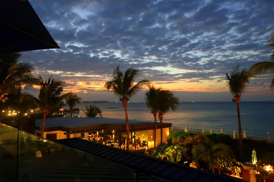 THE GOODS BLOG: Erika's Precious Little Life ~ February Edition