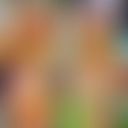 Fringe Festival 2025: A Fringe Feast Like Never Before!