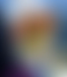 Restaurant Review: Shawarma Empire