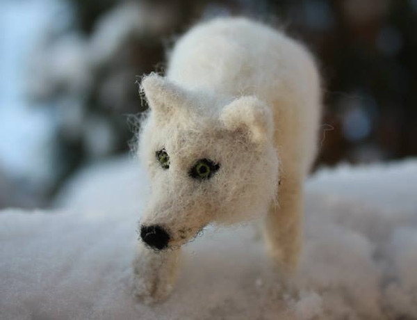 Wolf.jpg