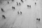 People Walking