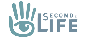 A Different World: Second Life