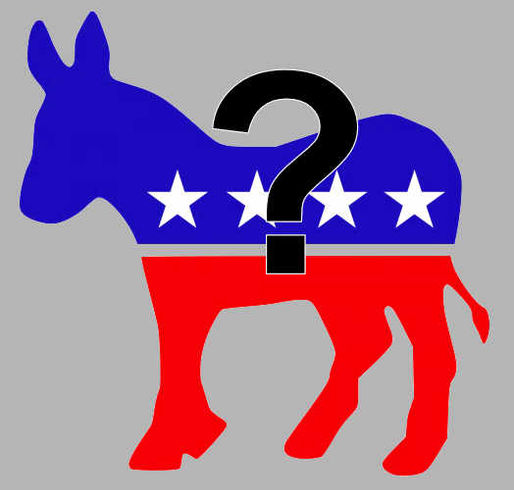Vote for a Democrat?