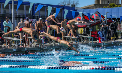 Links to Sierra Men's swim and dive album on flickr