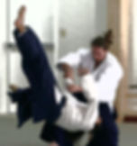 Aikido in Ann Arbor