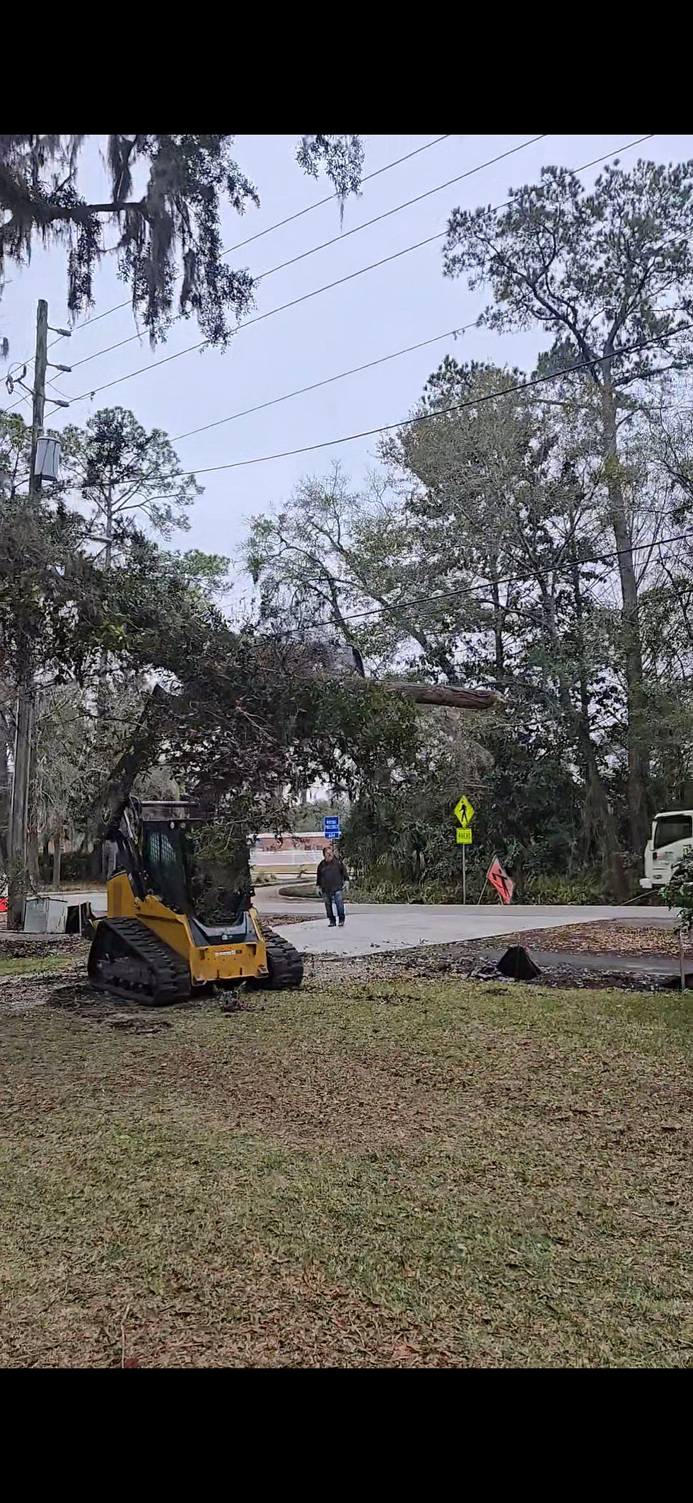 Storm Clean up