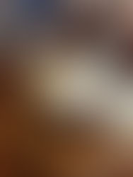 The Shak Cafe, Buderim | Queensland