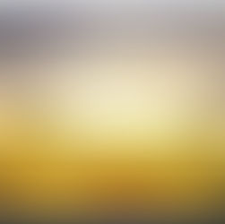 FREEDOMISM: The Truth That Sets Us Free