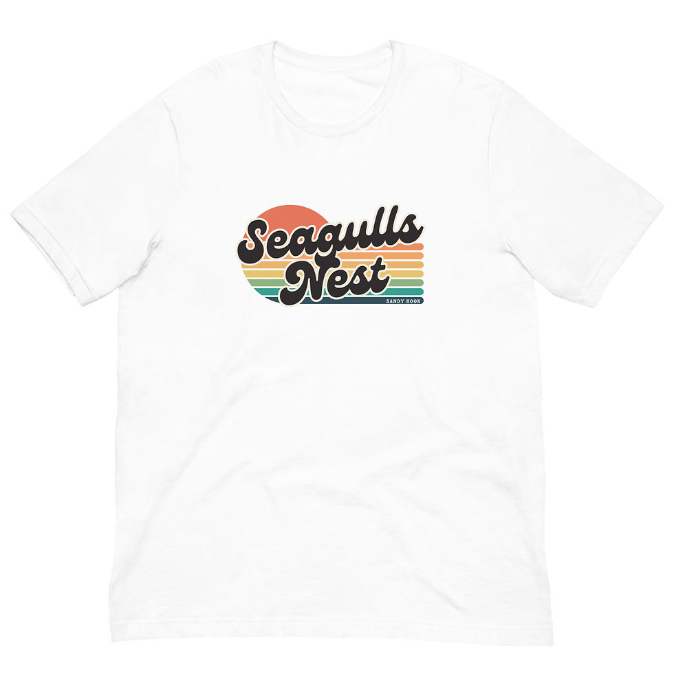 Thumbnail: Seagulls Nest Sandy Hook