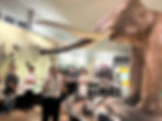 画像 -20240808-001043-e304b8e3.jpeg