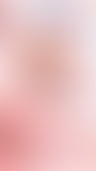 Spring Festival ～春祭り～