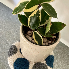 Intro to Punch Needle at Studio Mooi