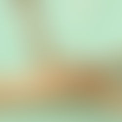 Twilight Bloom Earrings: A Perfect Blend of Elegance and Nature for Gen Z