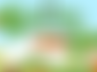  Animal Group or Solo