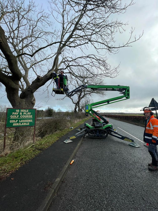 PHOTO-2023-03-25-17-23-58 2.jpg