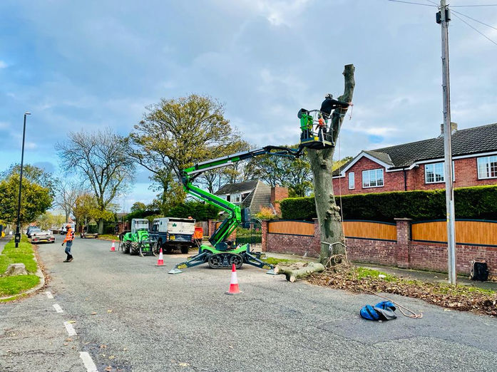 PHOTO-2023-03-25-17-23-09 2.jpg