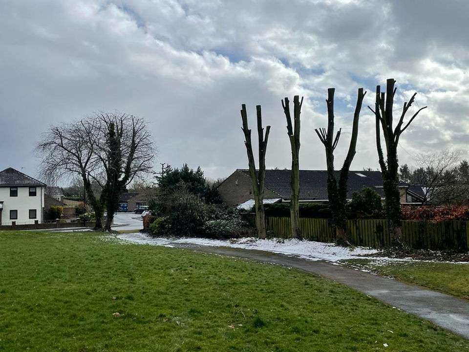 PHOTO-2023-03-25-17-23-58 4.jpg