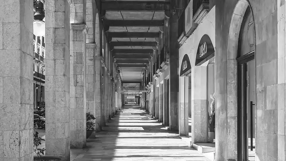 avenida.webp