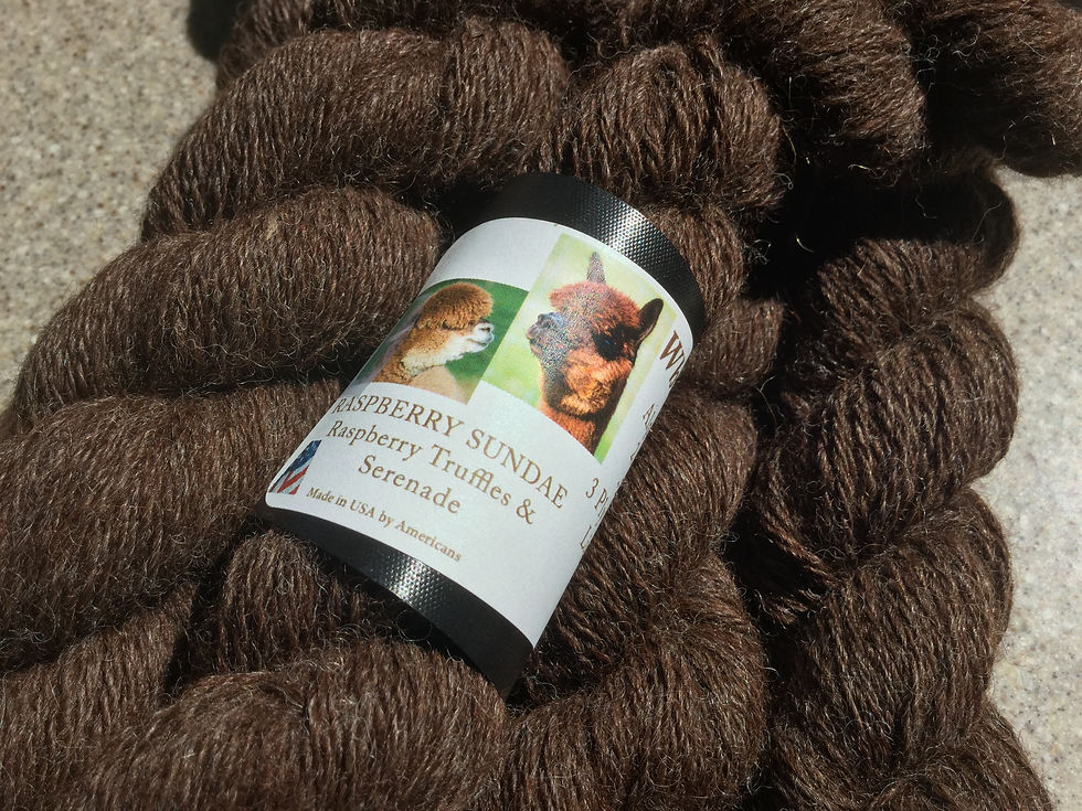 Raspberry Sundae by Raspberry Truffles & Serenade Fingering/Lt Sport wt