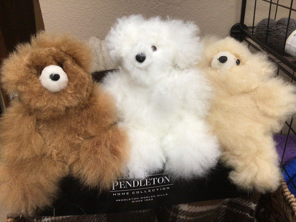 Alpaca Pocket Teddy Bears