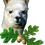 Thumbnail: Fawnzi