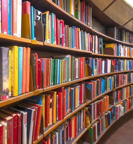 Todas-las-bibliotecas-son-bellas-por-el-