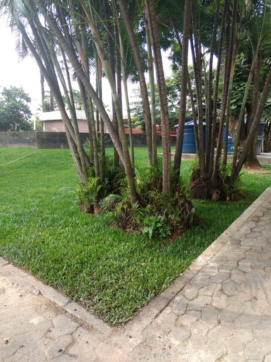 DEPOIS