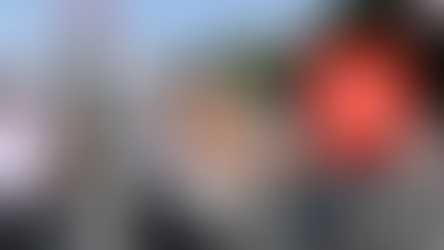 L'ombre des Frères musulmans derrière la campagne de condamnations d'al-Sissi et de l'Egypte