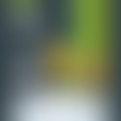 🏆 Les Trophées e5t sont ouverts aux candidatures !