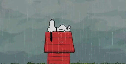 CHUVA